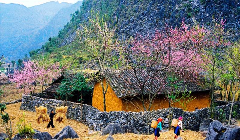 Lịch trình tour du lịch Hà Giang 3 ngày 2 đêm